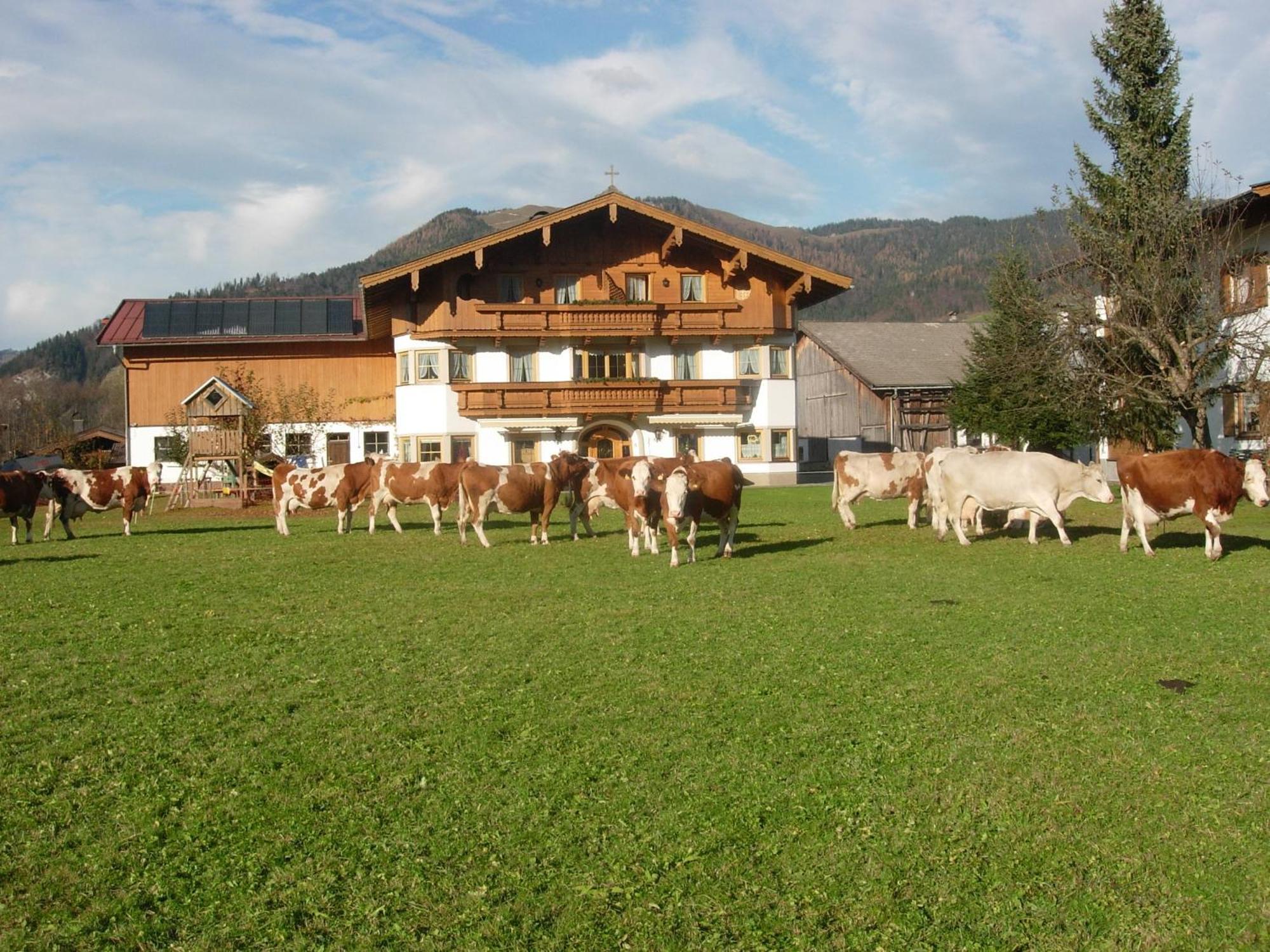 Huettschmiedhof Villa Kossen Ruang foto
